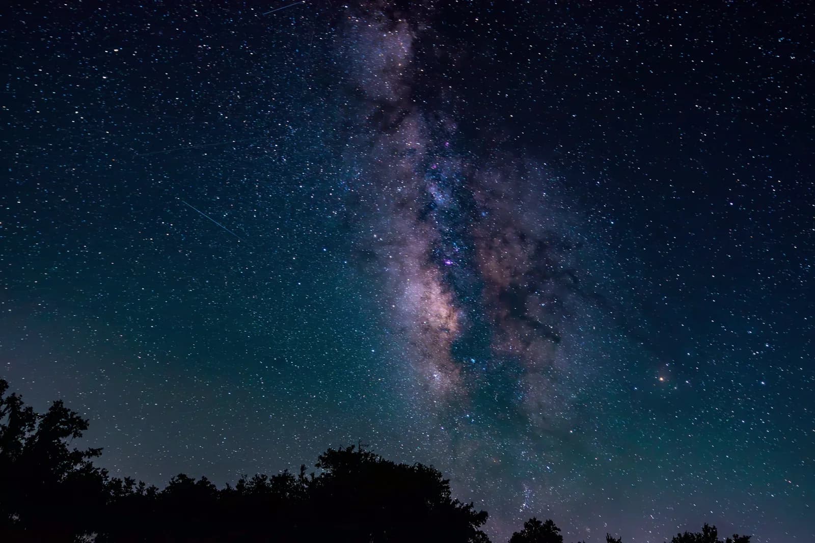 The Milky Way core over the treeline at Kissimmee Prairie Preserve State Park