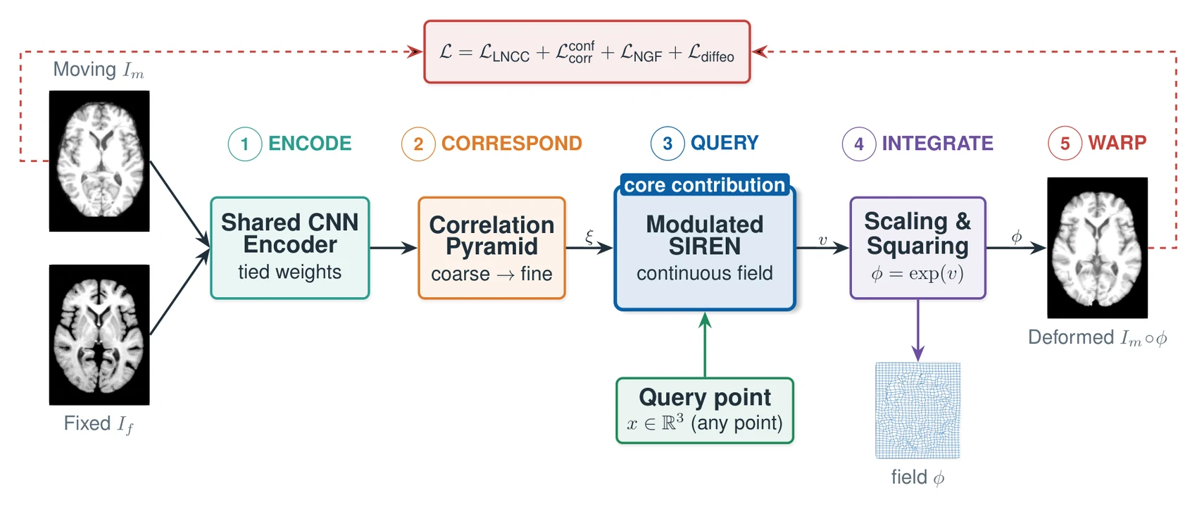 QueryPhi architecture: encoder, correlation pyramid, modulated SIREN, scaling and squaring