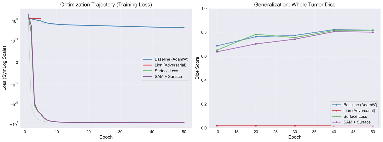 Optimisation trajectories and validation Dice curves