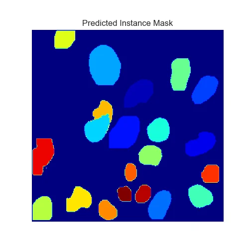 Coloured instance mask of nuclei
