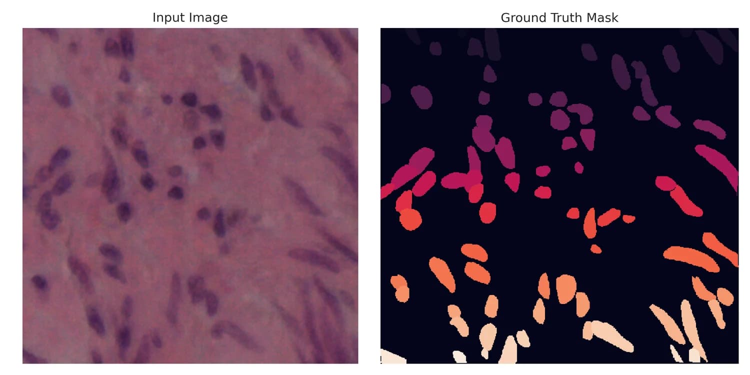 H and E stained histopathology tile beside its ground truth mask